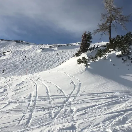 Big Apartment, 72m2, Nature Paradise, Swiming Pool, Table Tennis, Therme * Reith (Salzkammergut)