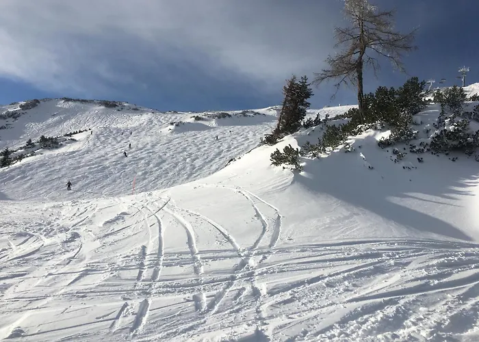 Big Apartment, 72m2, Nature Paradise, Swiming Pool, Table Tennis, Therme * Reith (Salzkammergut)