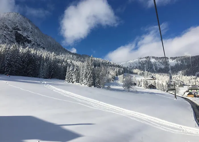 Big Apartment, 72m2, Still Good Skiing , Swimming Pool Inhouse , Table Tennis, Therme Lejlighed